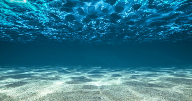 Сколько океанов на Земле? Почему это не такой простой вопрос