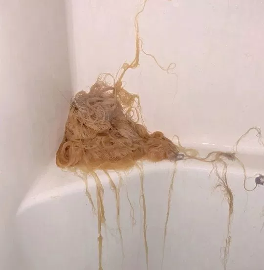 Клок волос в ванне: американка неудачно осветлила волосы