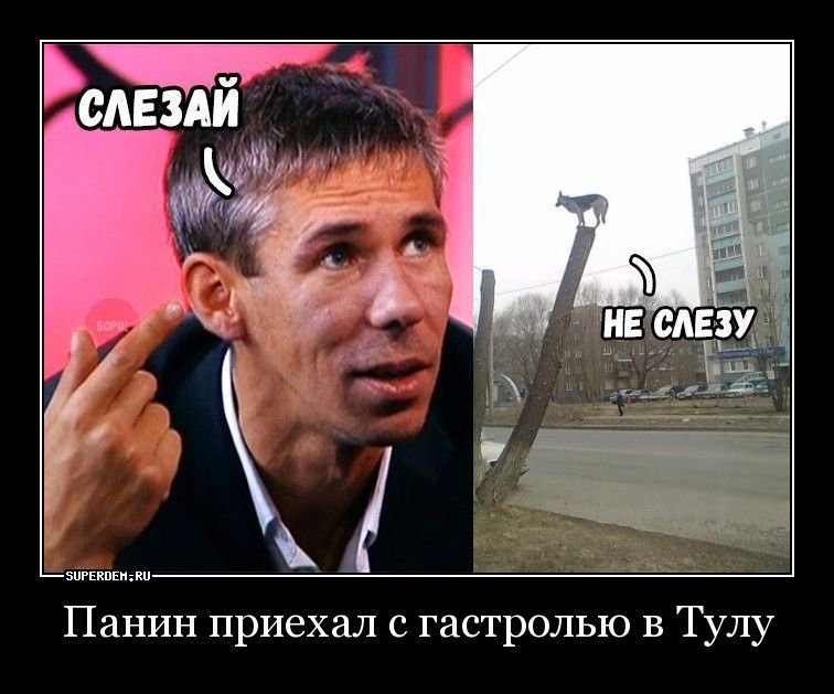 «Полный неадекват и неандерталец». 5 актёров, которых гнобят и ненавидят