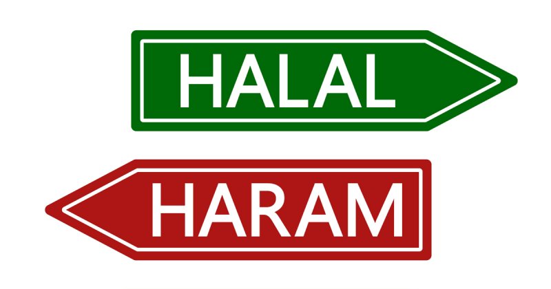 Что означает халяль и харам? Что имеют в виду мусульмане, когда говорят "халяльная еда"?