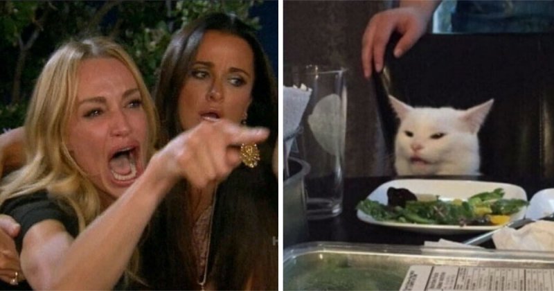 Женщина и кот за столом: откуда взялся мем, где девушка орет на кота