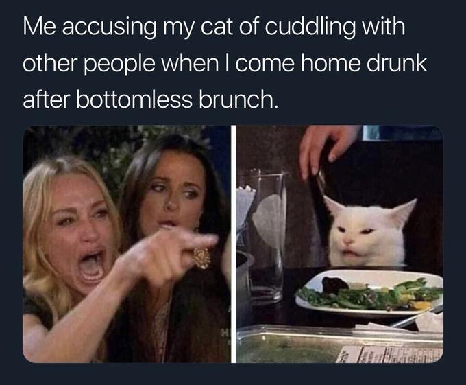 Женщина и кот за столом: откуда взялся мем, где девушка орет на кота