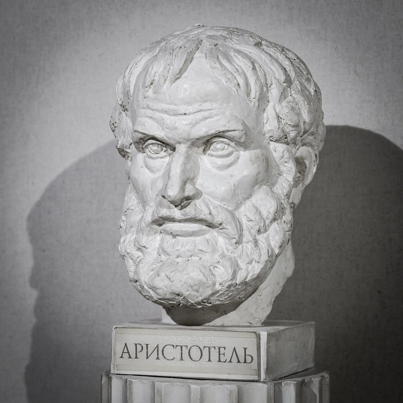 Кто такой Аристотель: кратко о его философии, взглядах на политику и государство