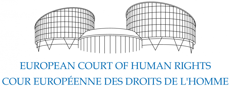 Что такое ЕСПЧ? Жалобы, громкие дела и решения суда в Страсбурге
