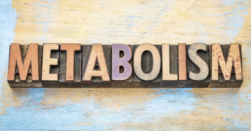Метаболизм - что это? У кого бывает ускоренный метаболизм? Как ускорить метаболизм?