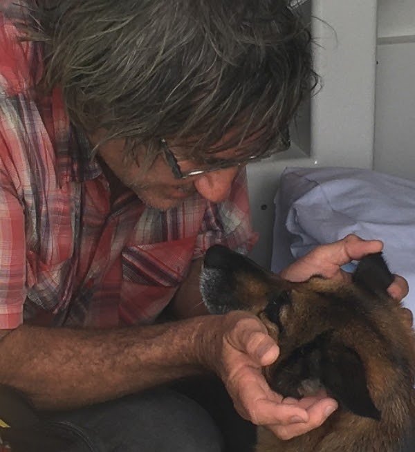 Австралийца спасли после кораблекрушения благодаря собаке, 11 часов плывшей по морю