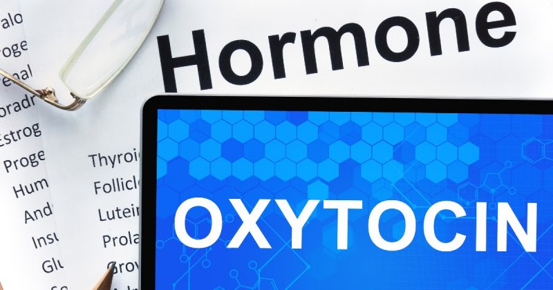 Гормон окситоцин - какие у него функции? Что делать, если повышен или понижен окситоцин?