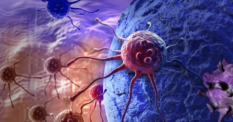 Рак: что за болезнь, почему возникает и как лечится. Стадии рака. Что такое онкология?
