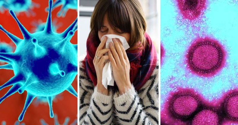 Коронавирус против гриппа. Какая инфекция самая заразная?