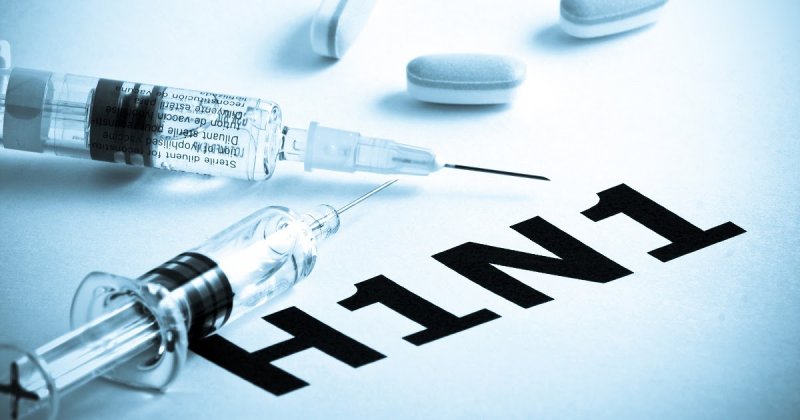 Пандемия свиного гриппа в 2009 году. Сколько людей умерло от вируса H1N1?