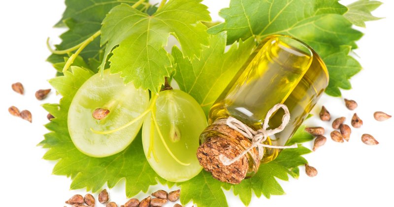 Масло виноградной косточки: применение, польза и вред. Виноградное масло для лица