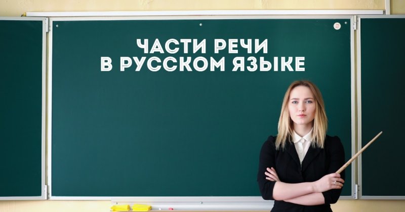 Части речи в русском языке: самостоятельные и служебные части речи, примеры