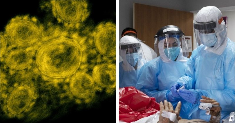 Шесть форм инфекции: что опаснее, если вы заболели коронавирусом