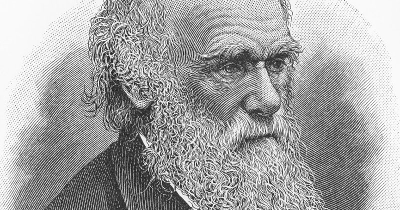Чарльз Дарвин: биография, научная деятельность, "Происхождение видов", идея эволюции
