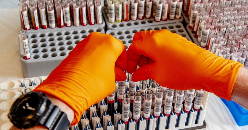 Коронавирус и группа крови - для кого он опаснее? Ответили ученые из США