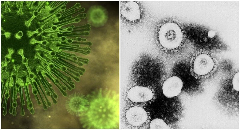 Что нужно знать о коронавирусе сегодня: симптомы, риски и вторая волна