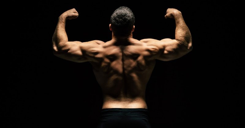 Как накачать мышцы? Как самостоятельно набрать мышечную массу