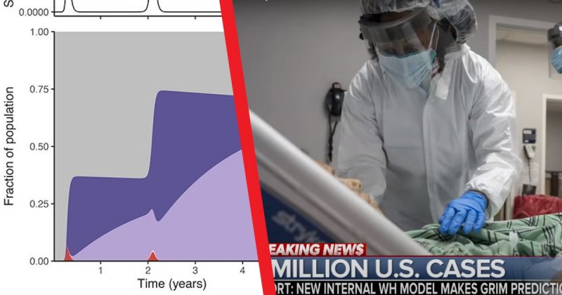 Ученые из Принстона опубликовали сценарии пандемии ковида на 5 лет вперед