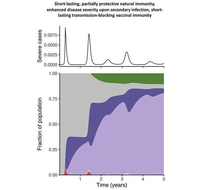 Ученые из Принстона опубликовали сценарии пандемии ковида на 5 лет вперед