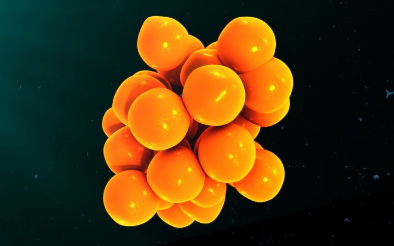 Ученые из США объяснили воспалительный синдром при коронавирусе