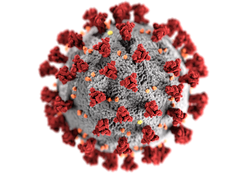 Ученые из США объяснили воспалительный синдром при коронавирусе