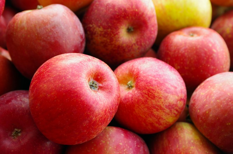 В Москве уничтожили более полутора тонн яблок из Азербайджана