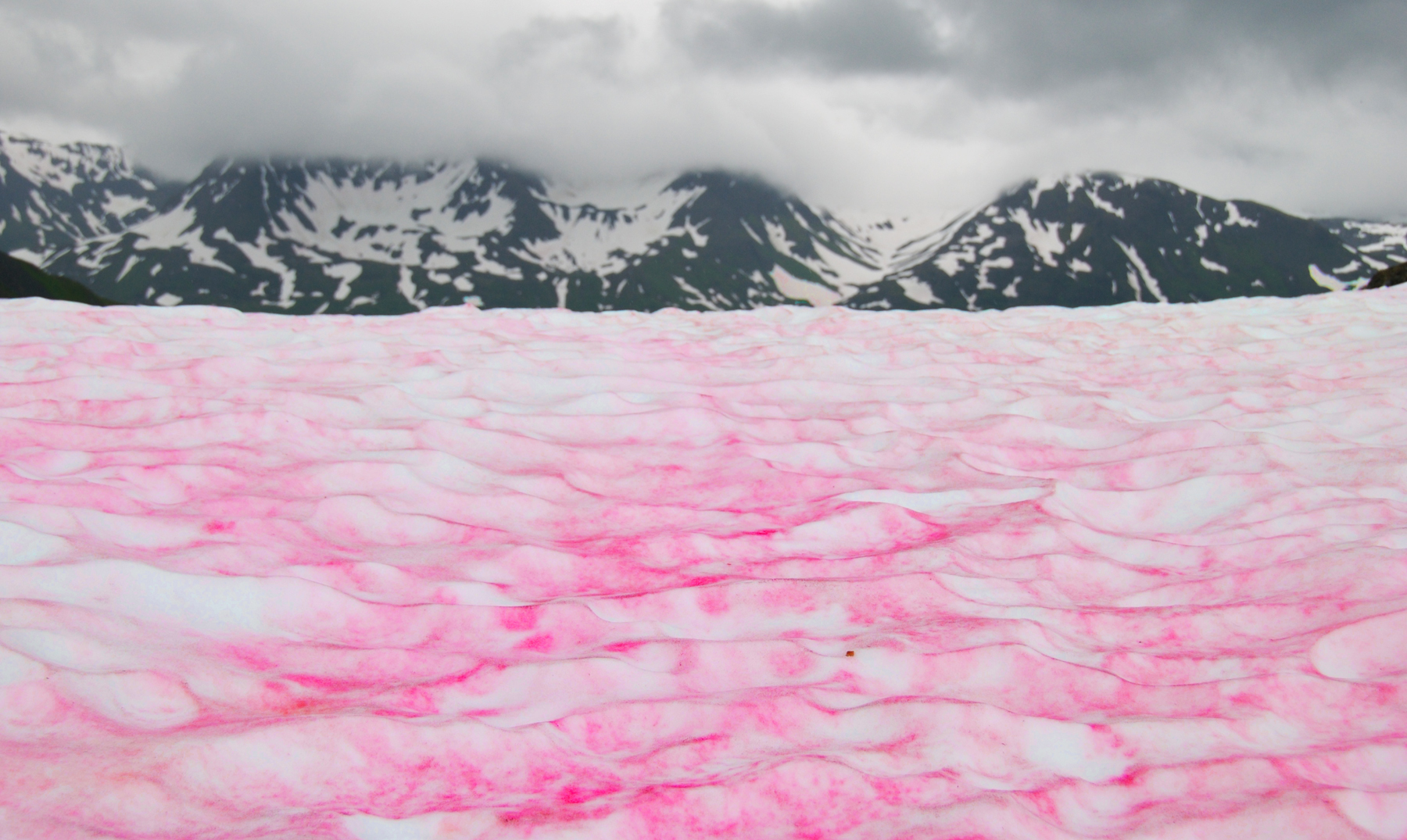Сьерра Невада розовый снег