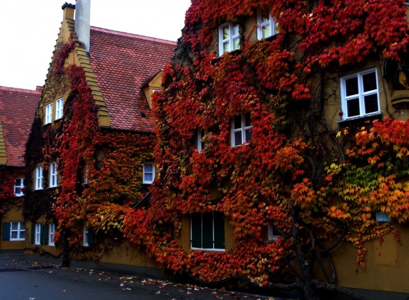 Фуггерай Германия. Осень в Германии. Германия осенью. Германия улицы осень.
