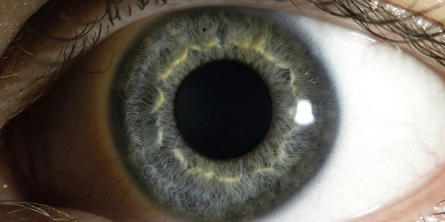 Ученые "напечатали" глаз, который позволит видеть незрячим