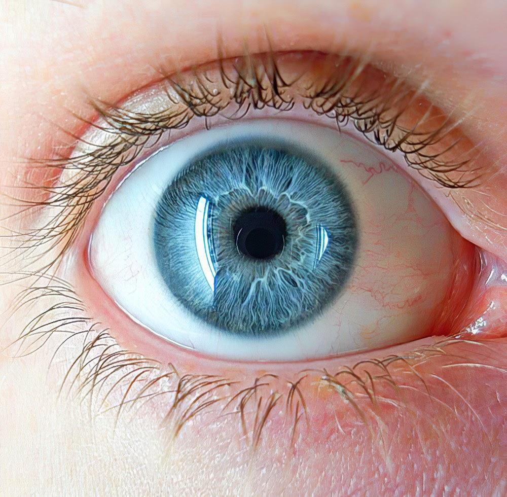 Миоз мидриаз анизокория. Голубо серые глаза. Человеческий глаз. Обычные глаза.