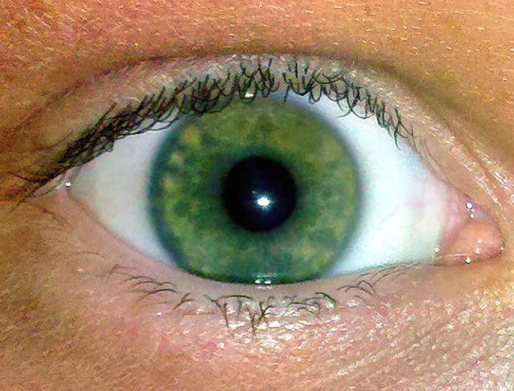 Почему глаза стали голубые. Зелёный цвет глаз самый редкий. Болотный цвет глаз. Желто зеленые глаза. Бледно-зеленый цвет глаз.