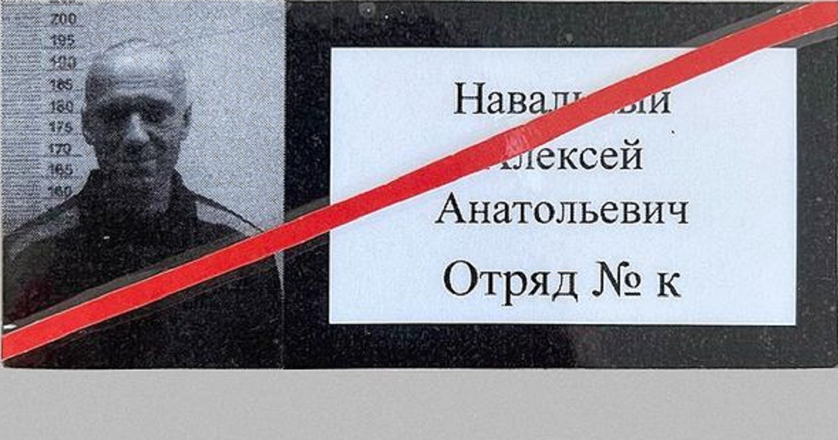 Звягинцев в речи о Навальном: «В этой стране нет ни права, ни закона»