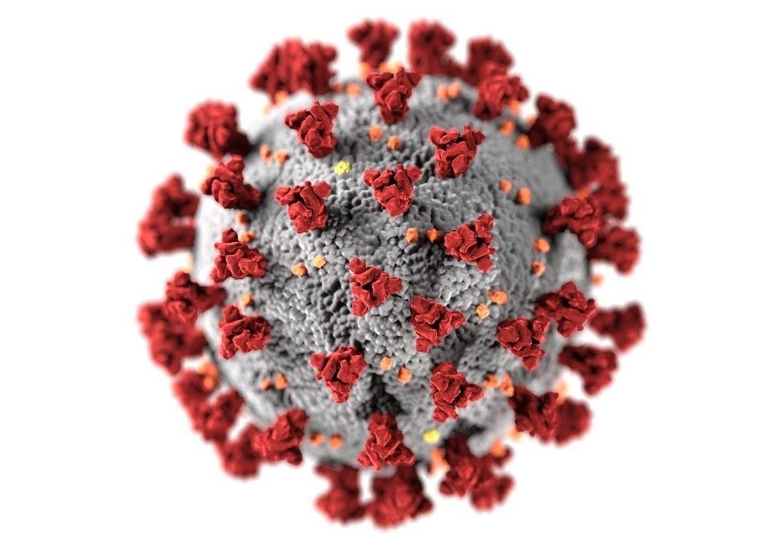 Новый штамм коронавируса «Дельта плюс» - что это такое, в чём опасность