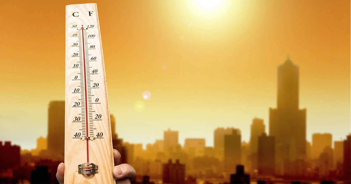 Ученые посчитали число смертей из-за аномальных температур