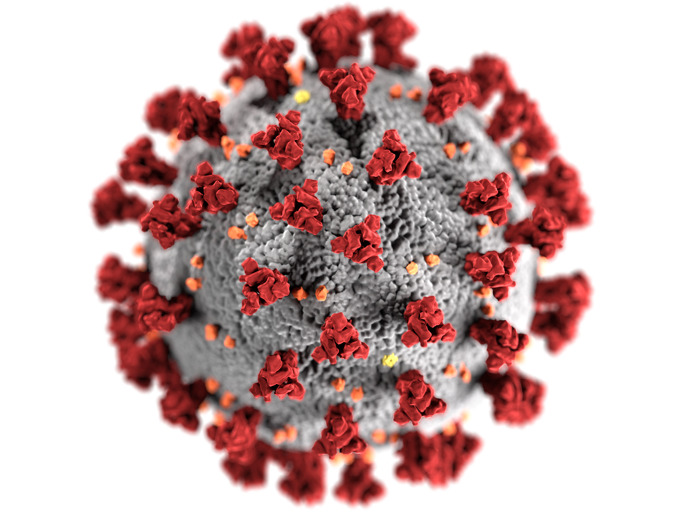 Омикрон-штамм коронавируса: что на самом деле известно о его опасности